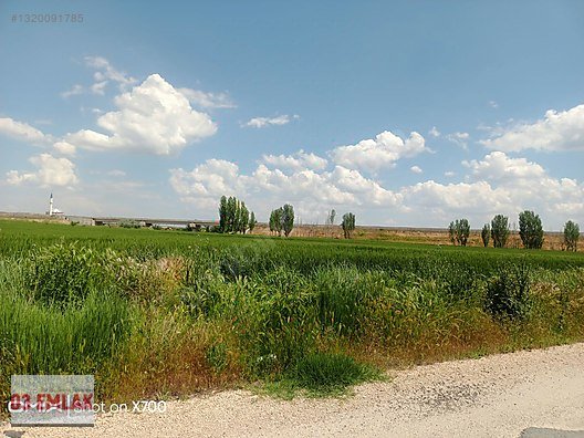 03 EMLAK(Ahmet Baştuğ'dan) AFYON GÜMÜŞKENT'TE 420m2 KONUT ARSASI fotoğraf 5