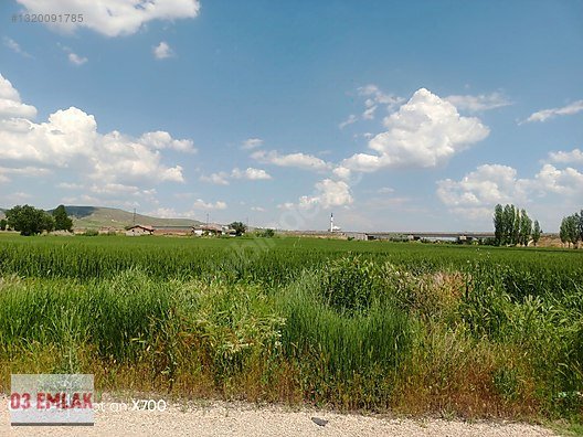 03 EMLAK(Ahmet Baştuğ'dan) AFYON GÜMÜŞKENT'TE 420m2 KONUT ARSASI fotoğraf 6