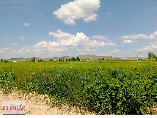 03 EMLAK(Ahmet Baştuğ'dan) AFYON GÜMÜŞKENT'TE 420m2 KONUT ARSASI fotoğraf 7