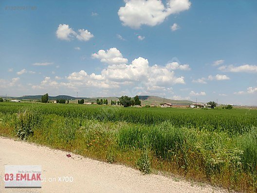 03 EMLAK(Ahmet Baştuğ'dan) AFYON GÜMÜŞKENT'TE 420m2 KONUT ARSASI fotoğraf 8