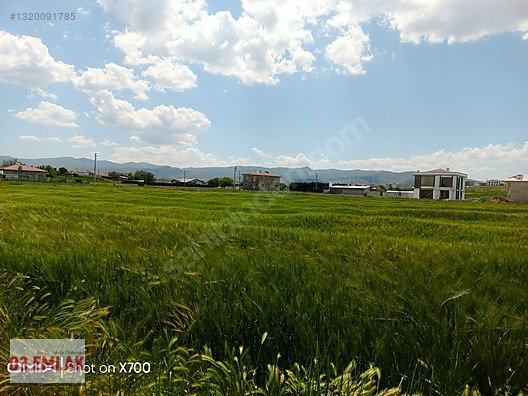 03 EMLAK(Ahmet Baştuğ'dan) AFYON GÜMÜŞKENT'TE 420m2 KONUT ARSASI fotoğraf 9
