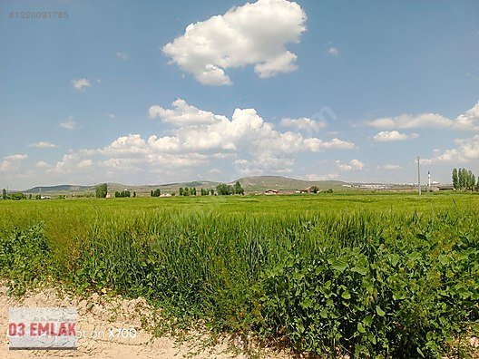 03 EMLAK(Ahmet Baştuğ'dan) AFYON GÜMÜŞKENT'TE 420m2 KONUT ARSASI fotoğraf 10