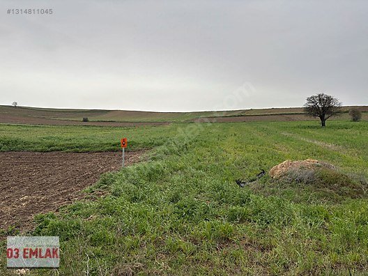 03 EMLAK(Ahmet Baştuğ'dan) KÜTAHYA YOLUNA SIFIR ARAZİ fotoğraf 3